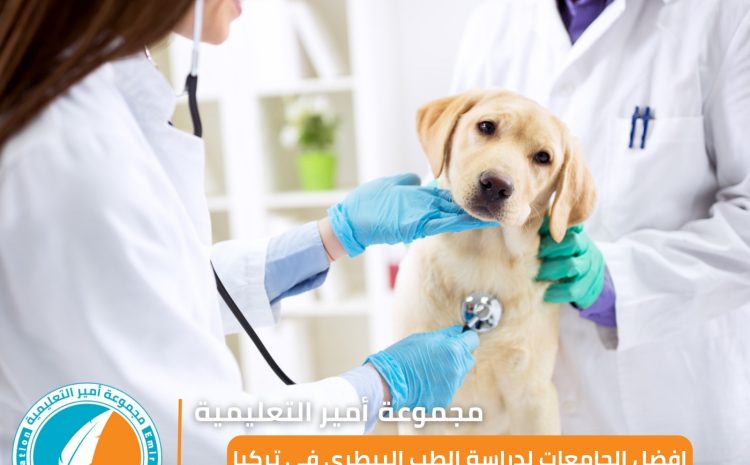  دراسة الطب البيطري في تركيا: معدل القبول، الجامعات، والتكاليف