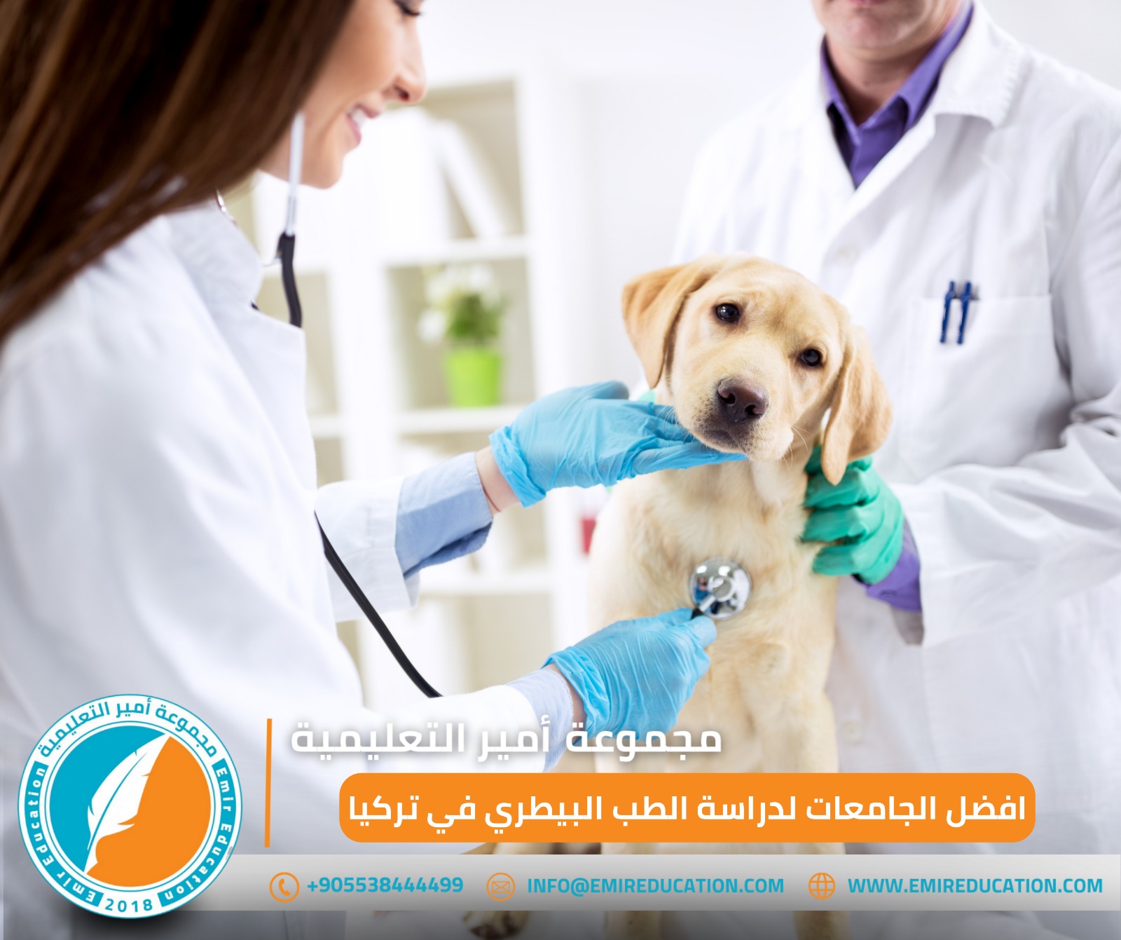 دراسة الطب البيطري في تركيا: معدل القبول، الجامعات، والتكاليف